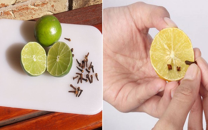 Chỉ cần nửa quả chanh làm theo cách này trong gia đình bạn chẳng bao giờ có con muỗi nào