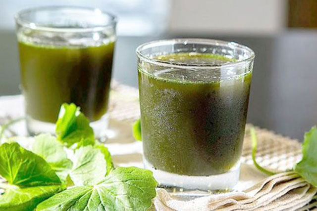3 công thức làm sinh tố rau má hấp dẫn, đem lại vóc dáng đẹp và làn da láng mịn