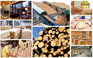 Đề xuất tháo gỡ khó khăn hoàn thuế VAT cho doanh nghiệp ngành gỗ