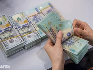 USD trong ngân hàng giảm mạnh về vùng 24.000 đồng
