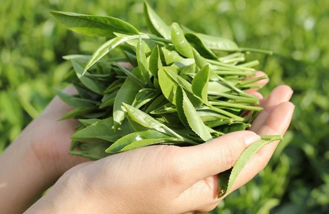 8 cách trị viêm xoang tại nhà đơn giản mà hiệu quả