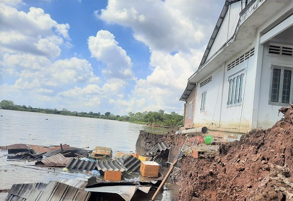 Sông Cổ Chiên "nổi giận”, cảnh báo nguy cơ thiên tai ở Đồng bằng sông Cửu Long