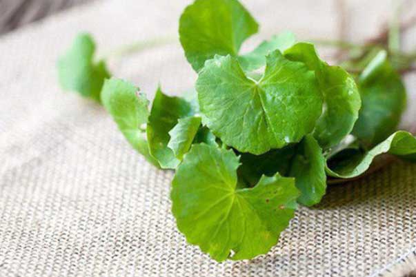 5 thực phẩm chữa nhiệt miệng nhanh chóng và hiệu quả