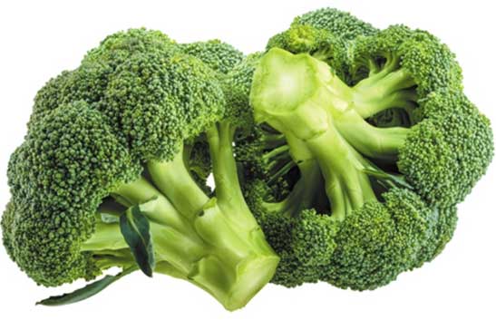 Thực phẩm lọc sạch phổi ngay tại nhà hiệu quả nhanh chóng