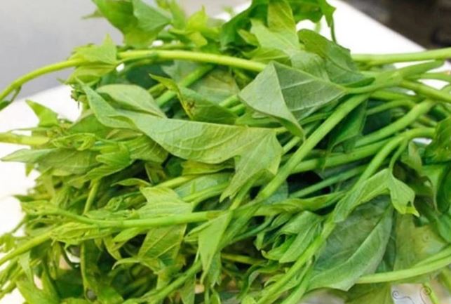 6 loại rau "bình dân" nhưng quý như nhân sâm giàu dinh dưỡng, ít phun thuốc trừ sâu