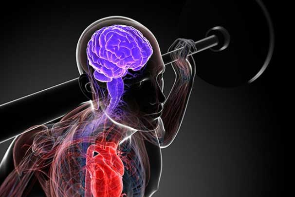 Thói quen tai hại gây ảnh hưởng lớn đến hoạt động của não mà nhiều người vẫn đang mắc phải