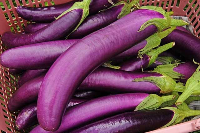 5 loại rau củ bổ dưỡng nhưng ăn nhiều có thể gây hại sức khỏe