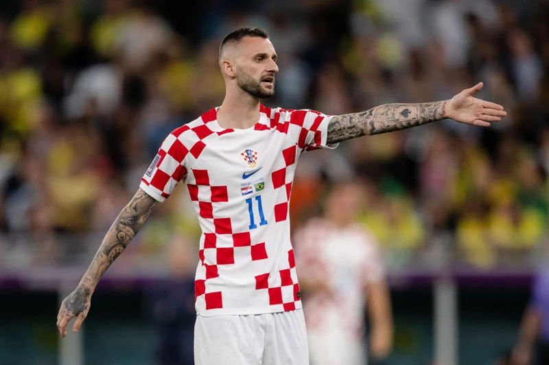 Tiền vệ phòng ngự: Marcelo Brozovic (Croatia).