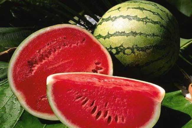 7 loại quả "lọc sạch độc tố" trong thận, chợ Việt bán rẻ bèo, ai bị bệnh thận nên ăn mỗi ngày