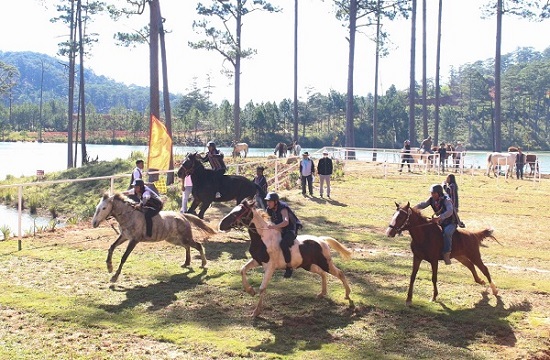 Xây dựng đua ngựa không yên của đồng bào K’Ho trở thành di sản văn hoá phi vật thể