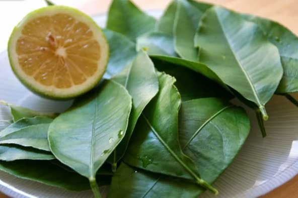 Trị dứt điểm sâu răng, viêm lợi, hôi miệng bằng loại lá rẻ bèo vườn nào cũng có, chợ nào cũng bán