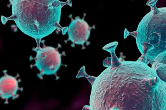 3 kiểu người có khả năng "miễn dịch" cao với ung thư: Bạn có trong số đó?