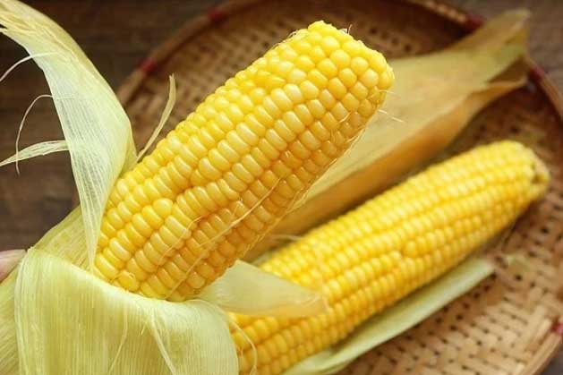 3 điều cấm kỵ khi ăn ngô mà nhiều người mắc phải, nhất là điều đầu tiên