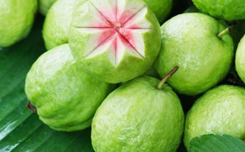 Ổi rất tốt nhưng 4 nhóm người này nên cẩn thận khi ăn