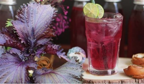 Buổi sáng uống nước lá tía tô thêm 2 thứ này vừa chống viêm nhiễm lại đẹp da, mờ sạm nám