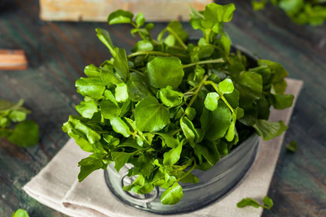 Những loại thực phẩm dễ gây ngộ độc nhất, bạn nên biết