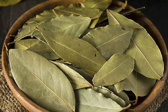 5 lợi ích của lá nguyệt quế với sức khỏe, có thể khiến bạn bất ngờ