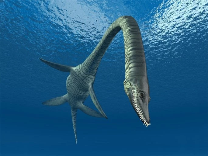 Siêu quái vật đầu rắn dài 10 m, 100 triệu tuổi hiện hình ở Úc - Ảnh 2.
