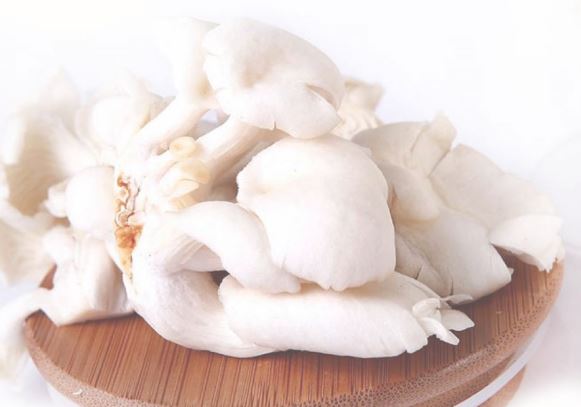 6 tác dụng tuyệt vời của nấm bào ngư với sức khỏe