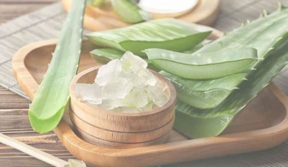 Top 8 loại thảo dược giúp trị da nứt nẻ trong mùa đông