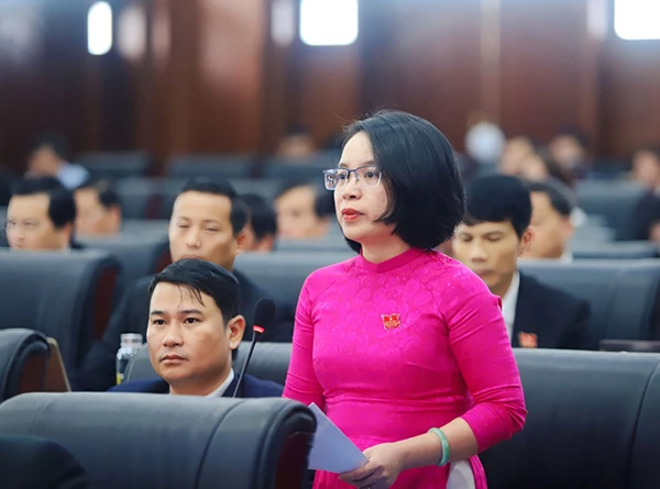 Bà Phan Thị Tuyết Nhung, Trưởng Ban Kinh tế - Ngân sách HĐND TP Đà Nẵng đề nghị UBND TP cần phân tích rõ nguyên nhân thu ngân sách so với các năm trước có dấu hiệu chựng lại;
