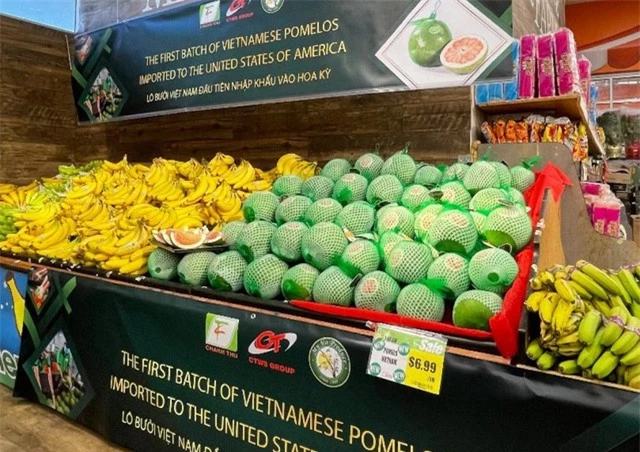 Bưởi Việt Nam lên kệ siêu thị Mỹ - Ảnh 1.