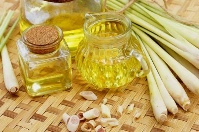 Chỉ vài giọt tinh dầu sả bạn có thể làm được nhiều điều kỳ diệu không ai ngờ tới