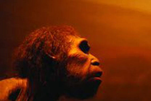 Phát hiện cực sốc trong hang “loài người ma” 230.000 tuổi