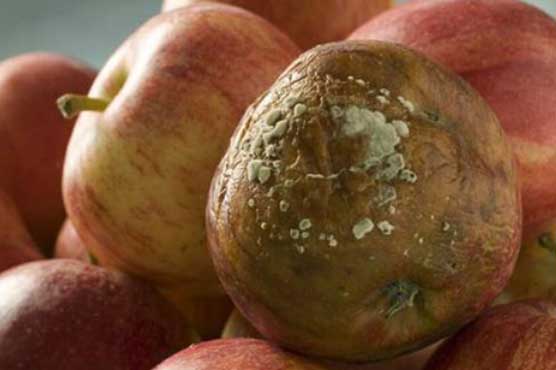 1 loại trái cây hại gan hơn cả bia rượu, người Việt vô tư ăn mà không biết gan đang kêu cứu