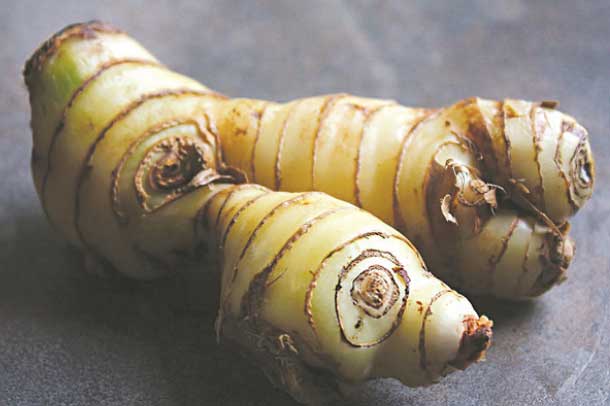 Loại củ "rẻ như bèo" mọc đầy trong vườn nhưng là "thần dược" cho phụ nữ, ngừa 7 bệnh ung thư