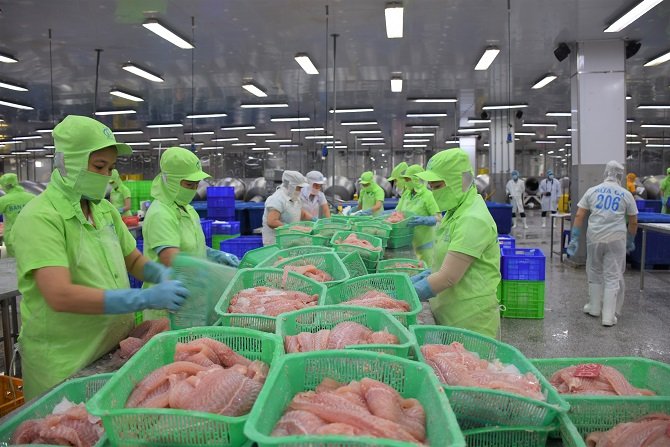 Khoa học công nghệ là chìa khóa đưa cá tra "vươn ra biển lớn"