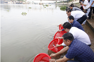 Đồng Tháp thả hơn 3 tấn cá tái tạo nguồn lợi thủy sản.