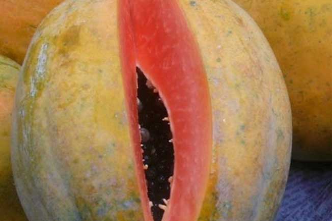 12 loại quả quen thuộc 90% ngâm thuốc độc hại: Cho không cũng đừng ăn