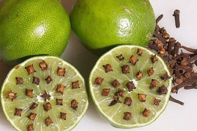 Cách trị muỗi, kiến, gián đầy hữu hiệu và an toàn chỉ bằng 1 quả chanh leo