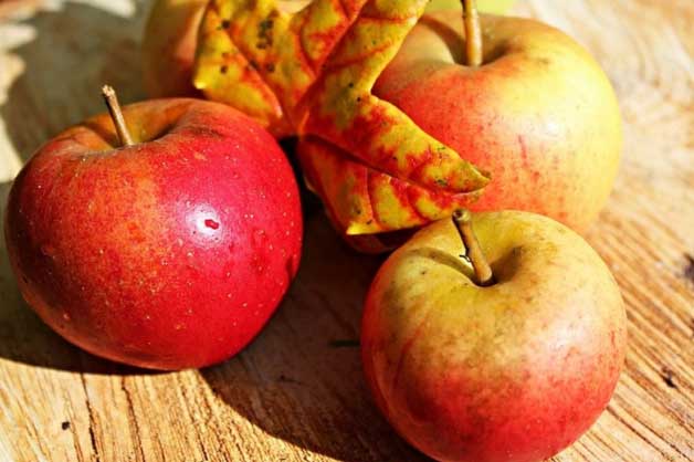 6 loại quả mà gan “thích mê”, “ăn một quả là khoẻ cả ngày”, độc tố trong cơ thể cũng bị “quét sạch”