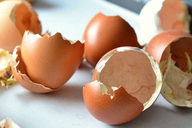 10 công dụng của vỏ trứng gà chắc chắn khiến bạn bất...