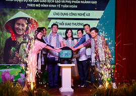 Khởi động dự án xây dựng sàn giao dịch thương mại điện tử gạo và phụ phẩm