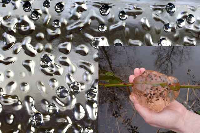 Bí ẩn những đốm màu trên trời rơi xuống