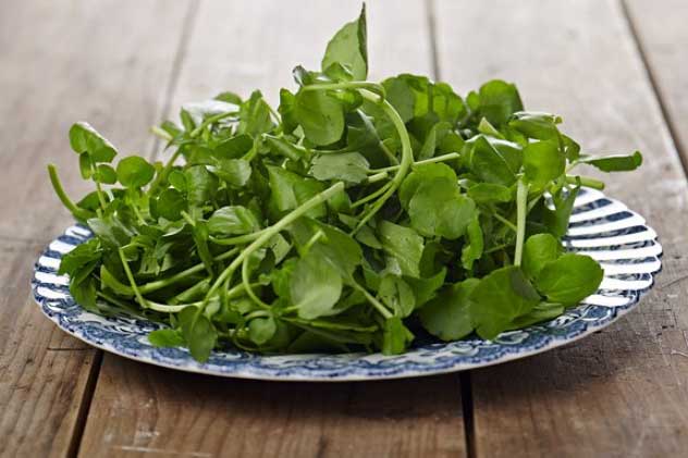 Bật mí loại rau ngừa bệnh ung thư nhiều phụ nữ mắc phải, lại đứng dầu danh sách 41 loại rau giàu dinh dưỡng