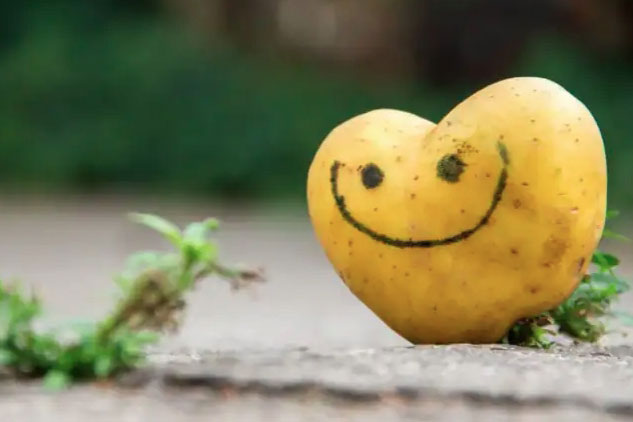 Khoai tây tốt cho sức khỏe tim mạch nhờ 3 lý do này