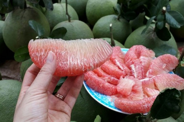 Ăn quả gì để giảm cân nhanh hơn?