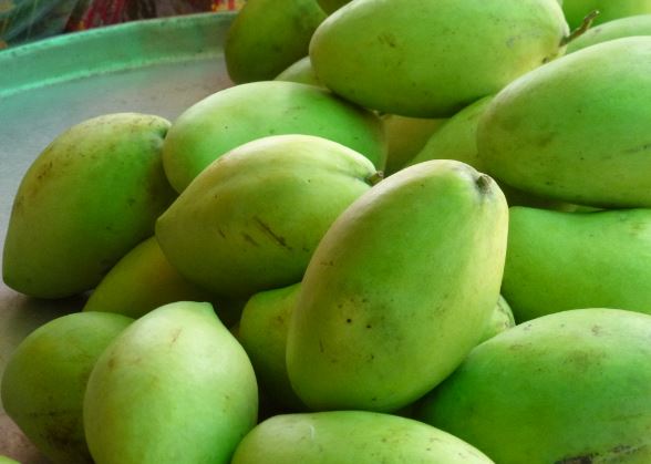 Dù đắt hay rẻ bạn cũng nên mua xoài về cho gia đình ăn