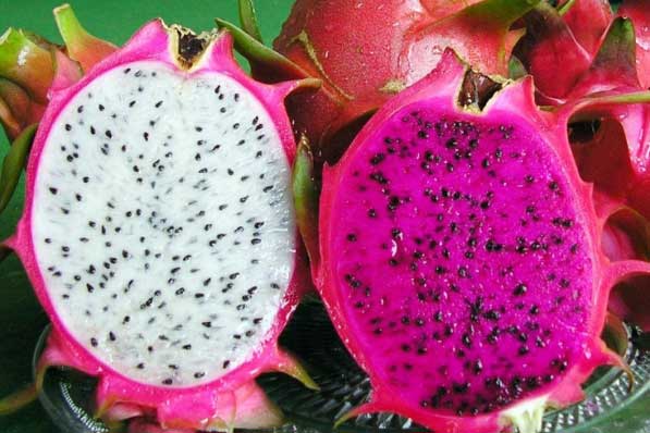 Bác sĩ khuyên: 4 kiểu người này tuyệt đối không nên ăn thanh long, ăn vào dễ “đoản thọ”