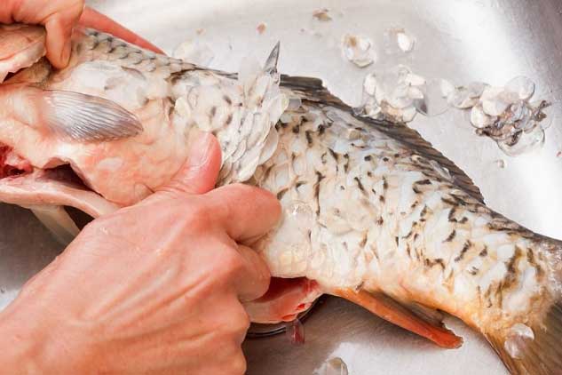 3 bộ phận của cá bổ ngang tổ yến, nhiều người thường bỏ đi mà chẳng hề hay biết