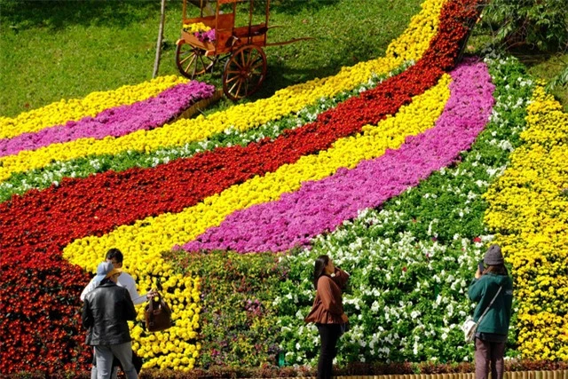 Festival hoa Đà Lạt: Điểm hẹn của người yêu hoa - Ảnh 1.