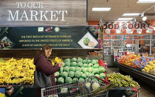 Việt Nam có thêm cơ hội gia nhập Nhóm 7 đối tác thương mại hàng đầu của Mỹ