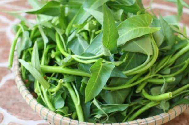 Lợi ích khi ăn rau muống mà rất nhiều người vẫn không biết cách tận dụng
