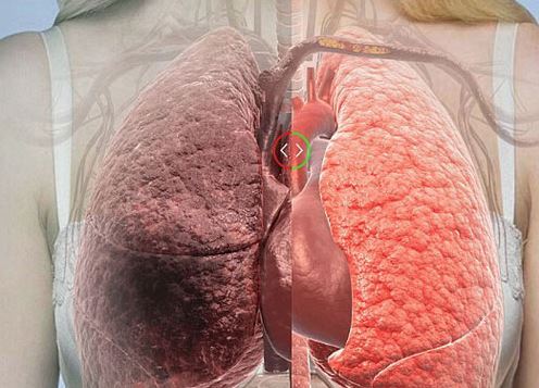 3 "siêu" trái cây người hút thuốc lá nên ăn nhiều