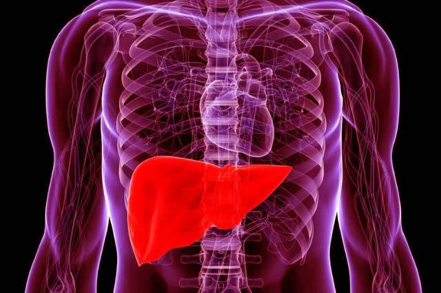 Thực phẩm ăn vào mát gan - thải độc cơ thể hiệu quả hơn uống thuốc bổ, rất nhiều người bỏ phí