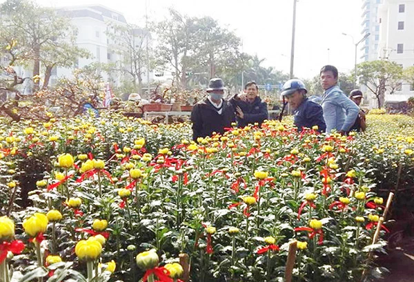 Chợ hoa Tết Quý Mão 2023 của TP Đà Nẵng sẽ diễn ra từ ngày 12/1/2023 đến 21/1/2023